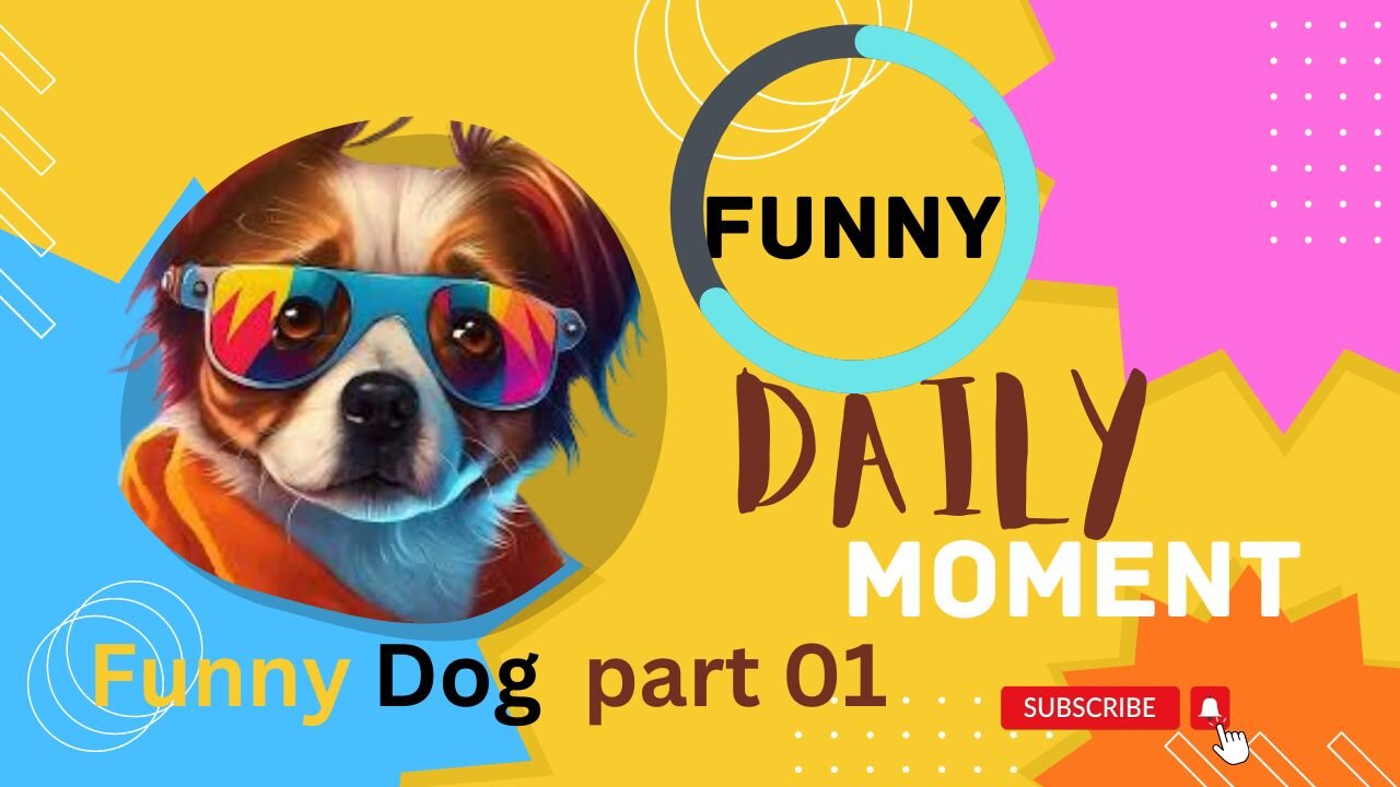 Animals Crazy Moments | Episode 091