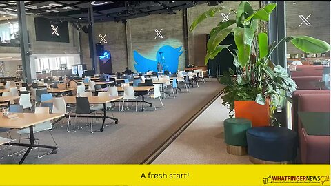A fresh start!