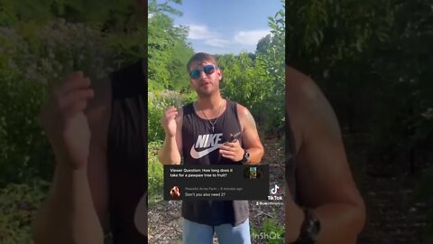Viewer Question: Do you need two pawpaw trees?