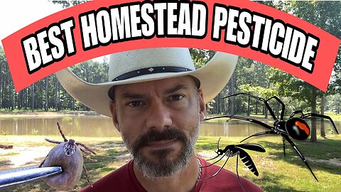 Best Pest Control Product for Your Homestead