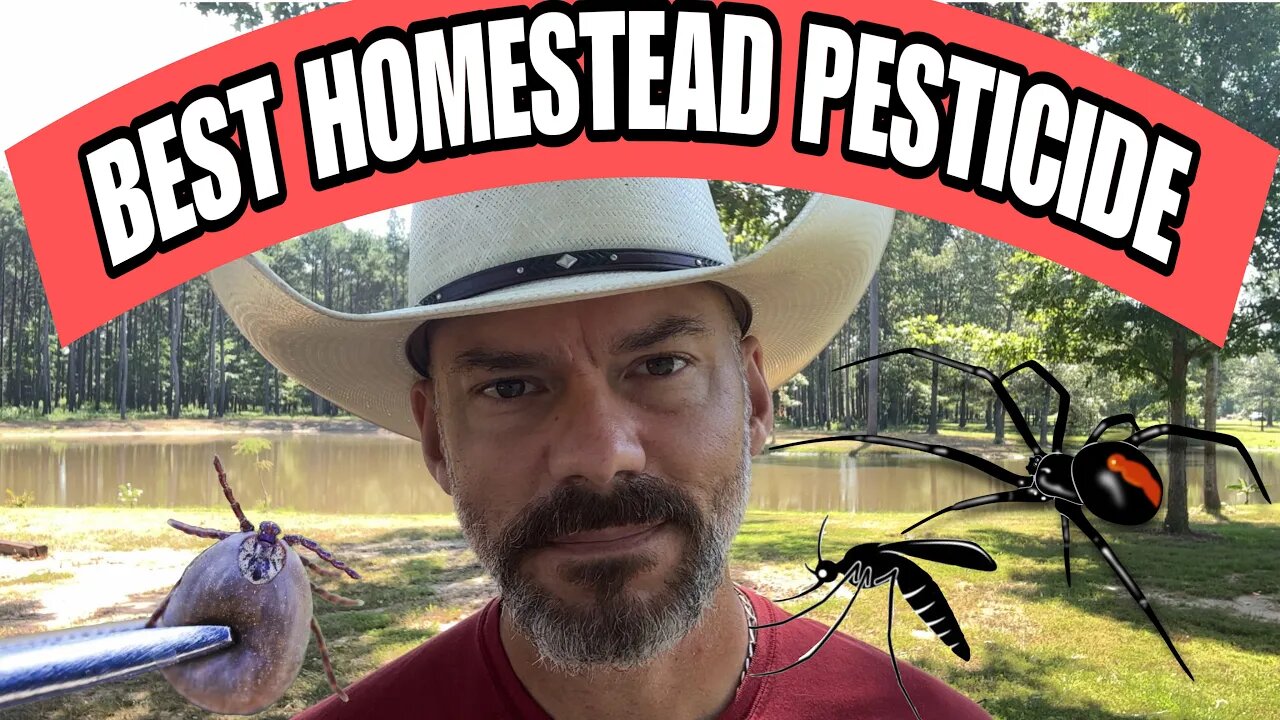 Best Pest Control Product for Your Homestead