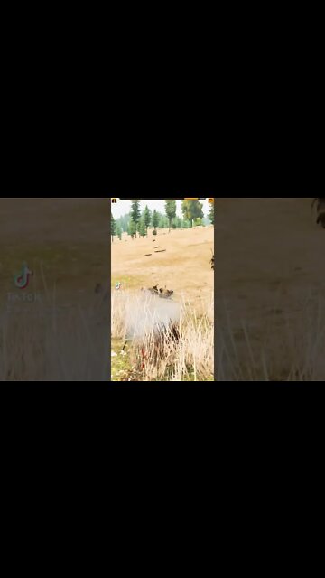 Bannerlord mods I repost on TikTok Gaming to get free followers and more views and likes 2022 May