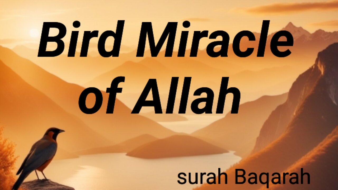 Bird Miracle of Allah