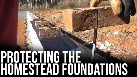 Protecting the Homestead Foundations | Forest to Farm