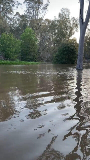 Australian flooding leaves hundreds without power in Victoria