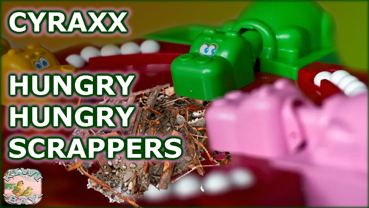 Cyraxx vs. Music Biz Marty - Hungry Hungry Scrappers