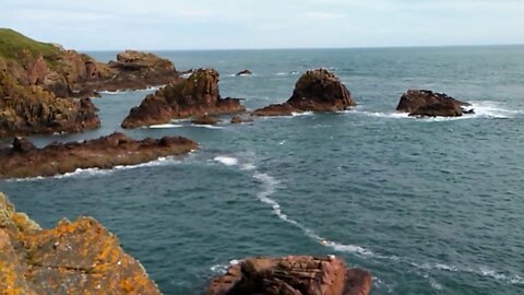 3,874 Days Left For The Planet