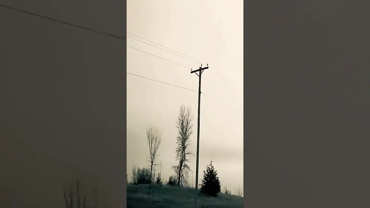 Tree jams