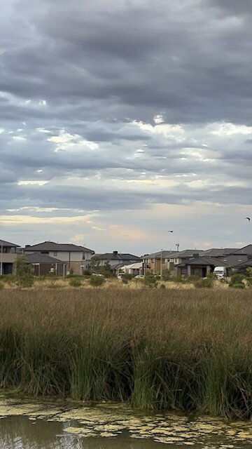 You know the way home…