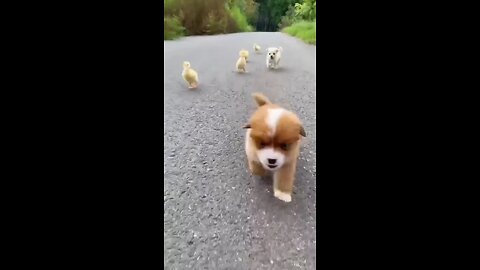 cute 💕💕💕💕