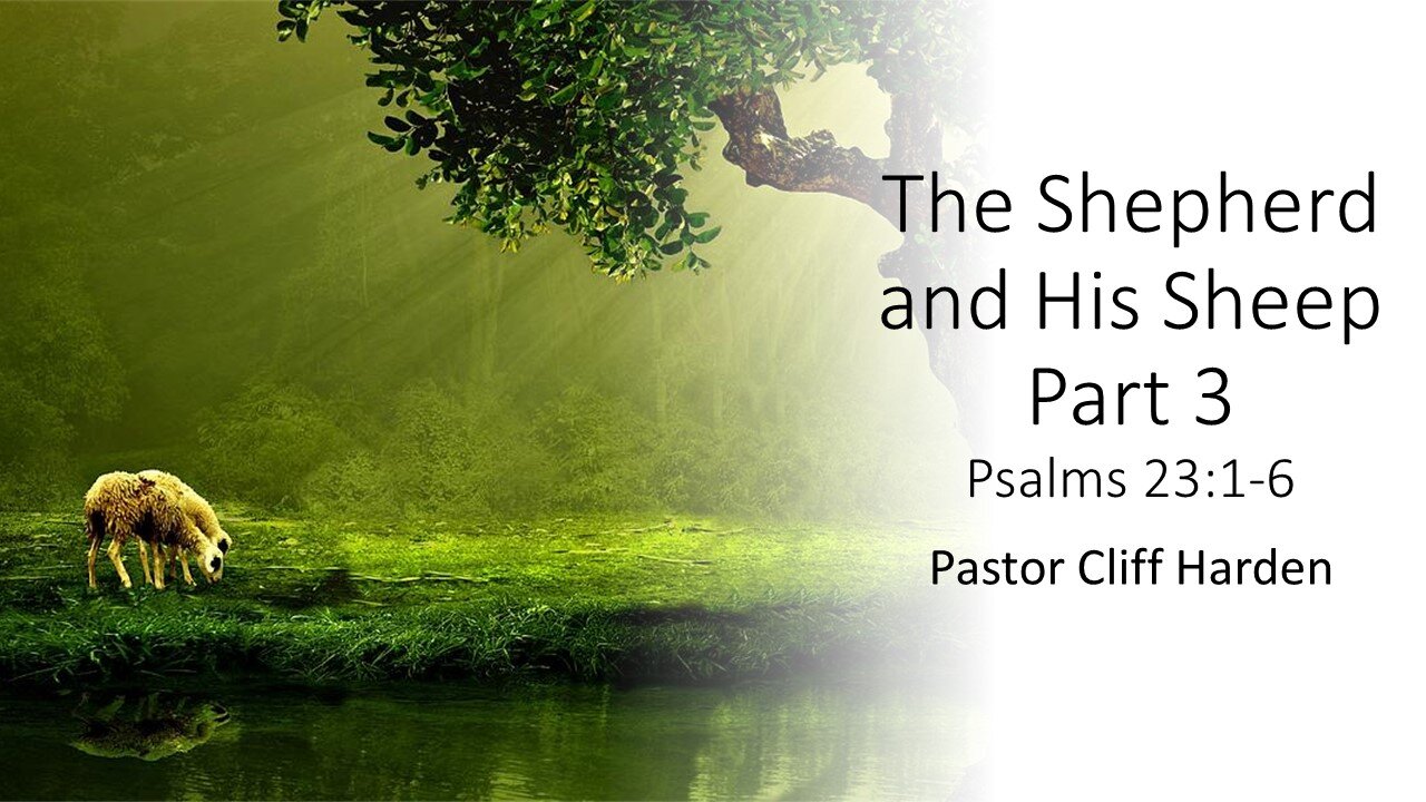 “The Shepherd and His Sheep part 3” by Pastor Cliff Harden