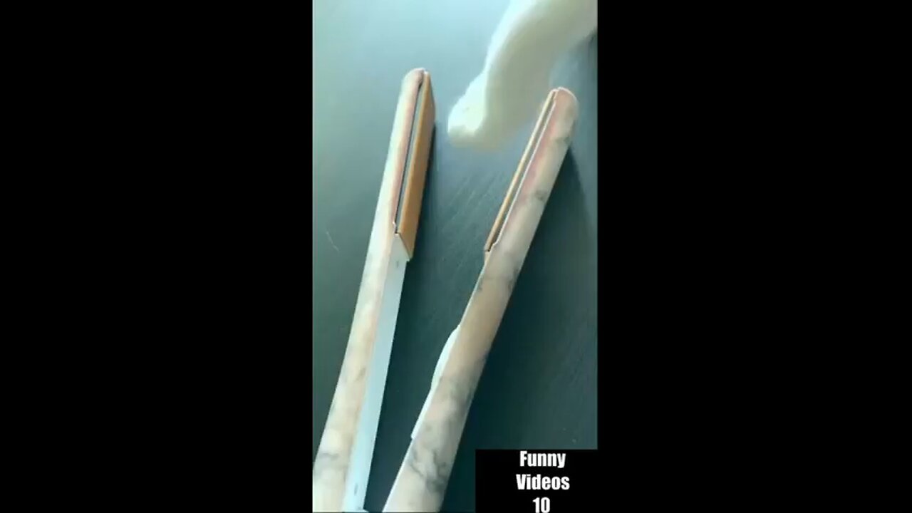 Funny Cat πΊπ