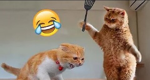 Best Funny Animal Videos of the year (2023), funniest animals ever. relax with cute animals video