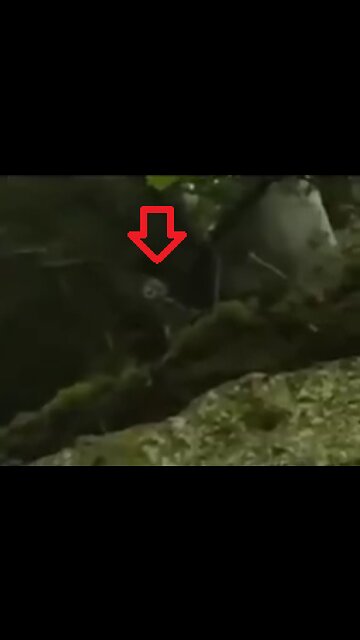 TINY HUMANOID CREATURE IN THE JUNGLE 🤔?!