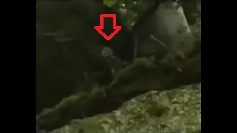 TINY HUMANOID CREATURE IN THE JUNGLE 🤔?!