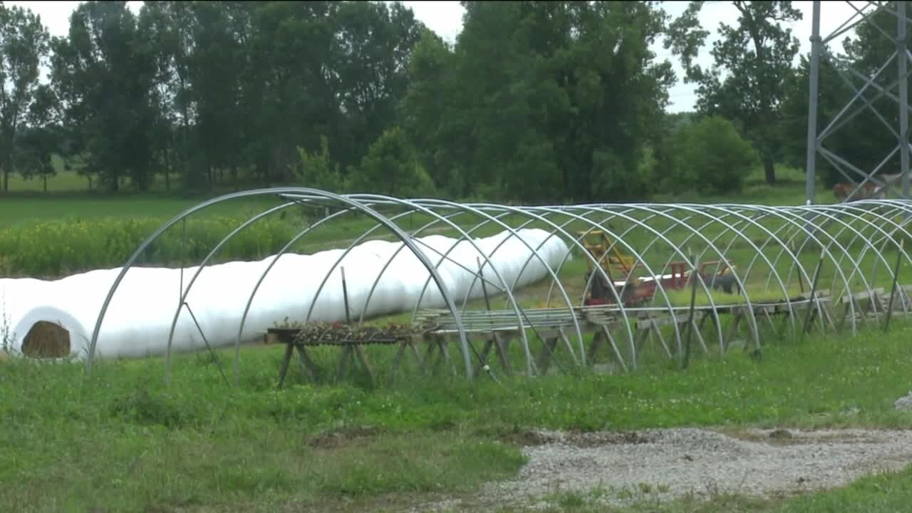 Local farmers combating heavy rain