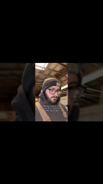 A Very Fergie Farm Day #shorts