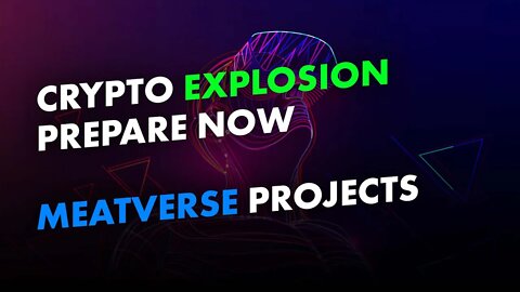 Prepare For A Crypto Explosion!!! Do This To Pump Your Bags With SolChicks & Metaverse Projects