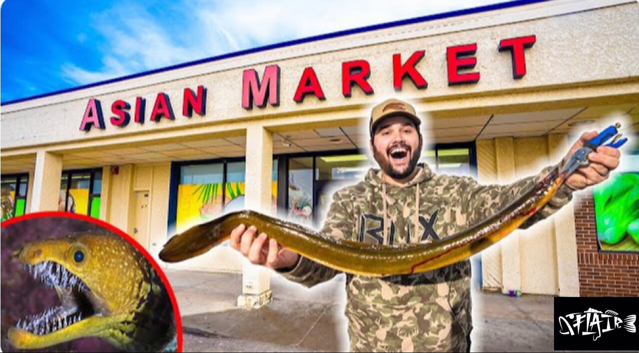 POISONOUS EEL from Asian supermarket EXOTIC catch, clean, and cook.