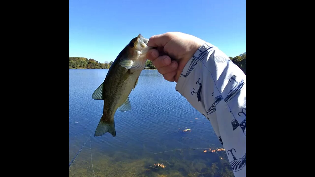 Bass Catch & Release!!! First Video on Rumble