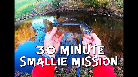 30 Minutes to lock in on some SMALLMOUTH!