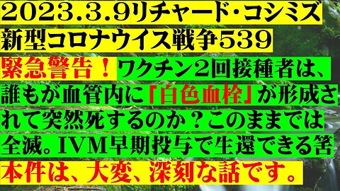 2023.03.09 リチャード・コシミズ新型コロナウイルス戦争５３９