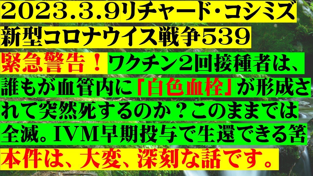 2023.03.09 リチャード・コシミズ新型コロナウイルス戦争５３９