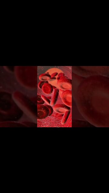 Scarlet Eggplant: A Great Remedy For Constipation, Bad Breath And Hypertension #shorts