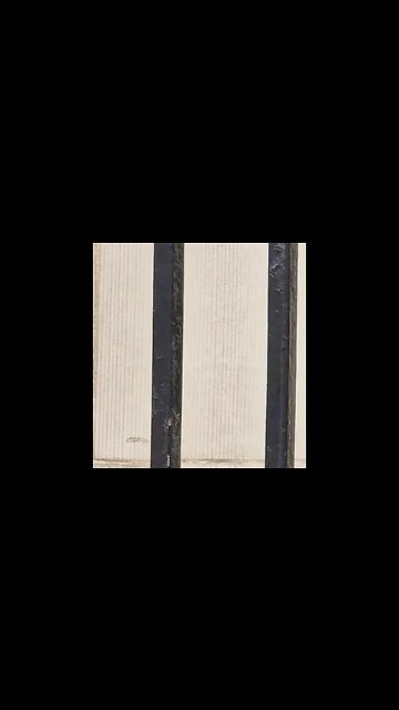 That's a moustache #horseguardsparade