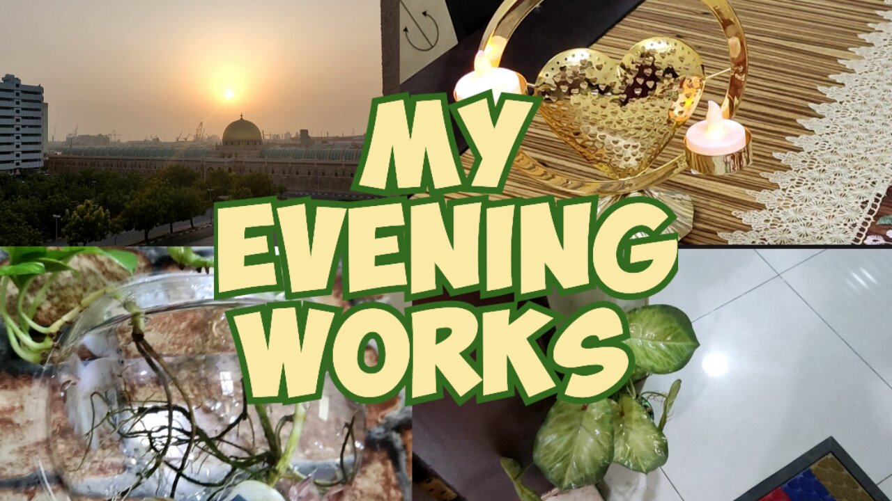 My Evening Works| My Routine in UAE Sharjah | Tuba Durrani C&M