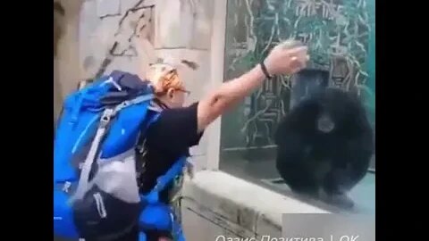 This human is a good monkey!