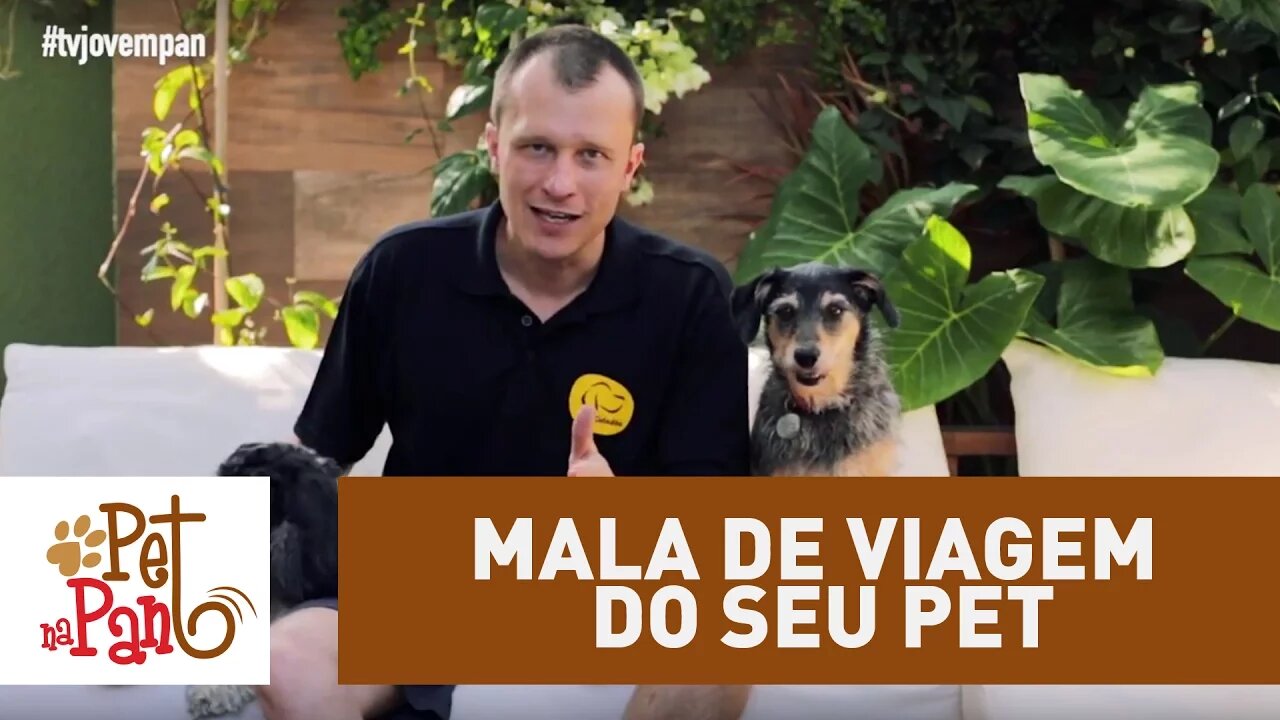 Pet Na Pan #26 - Seis itens que não devem faltar na mala de viagem do seu pet