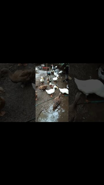 10 April 2022. Waiting for worms