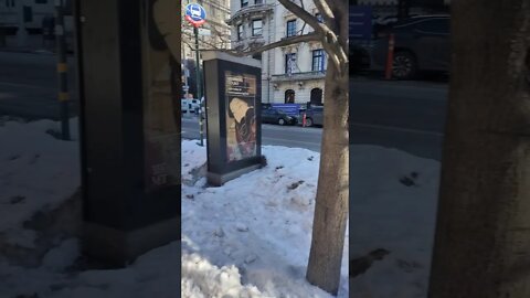 Outside The Met 2021