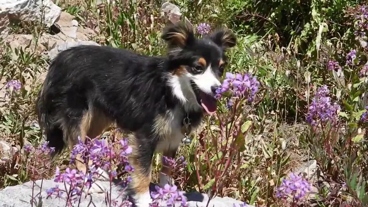 I'm Old Enough To Remember Music