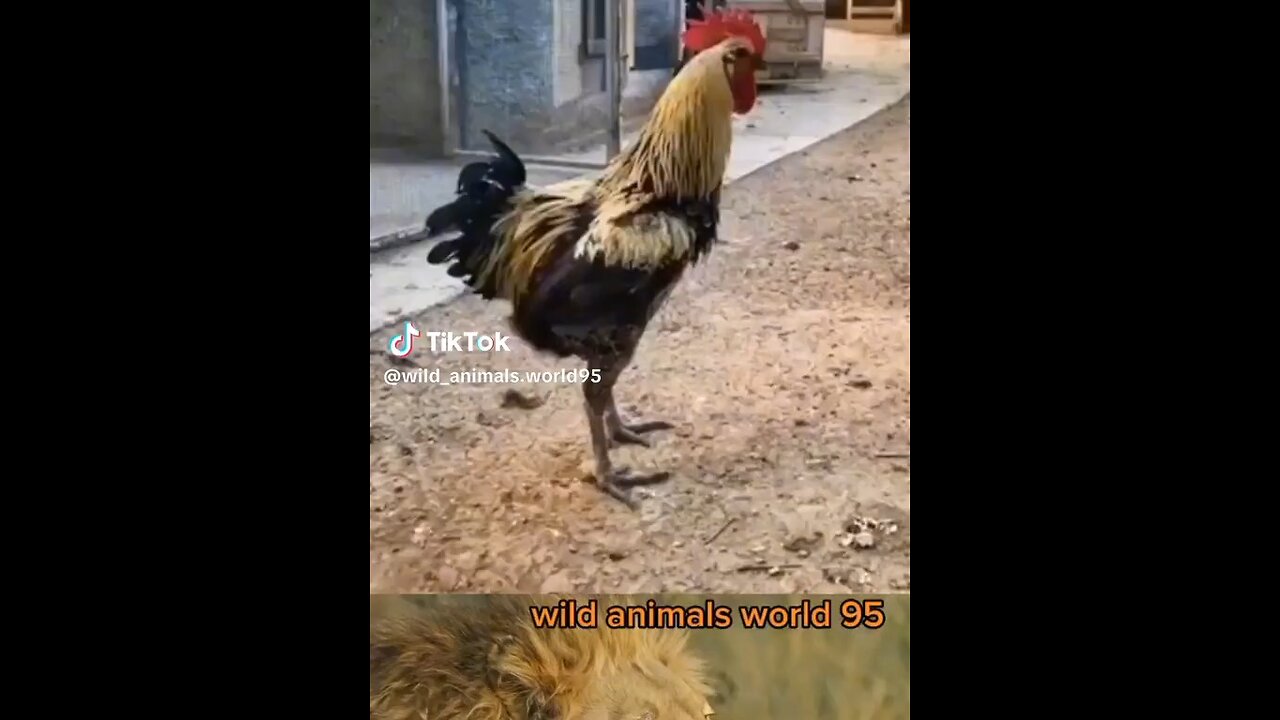 Sa Re Ga Ma