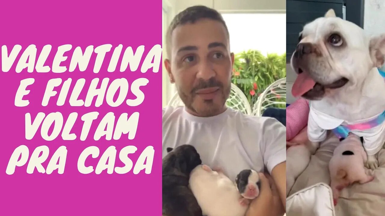 Carlinhos Maia Recebe Valentina e os Filhotes