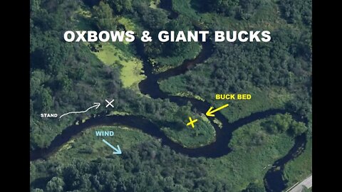 OXBOWS & GIANT BUCKS