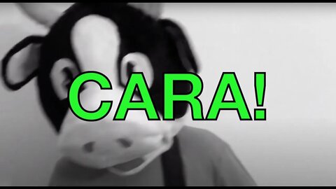 Happy Birthday CARA! - COW Happy Birthday Song