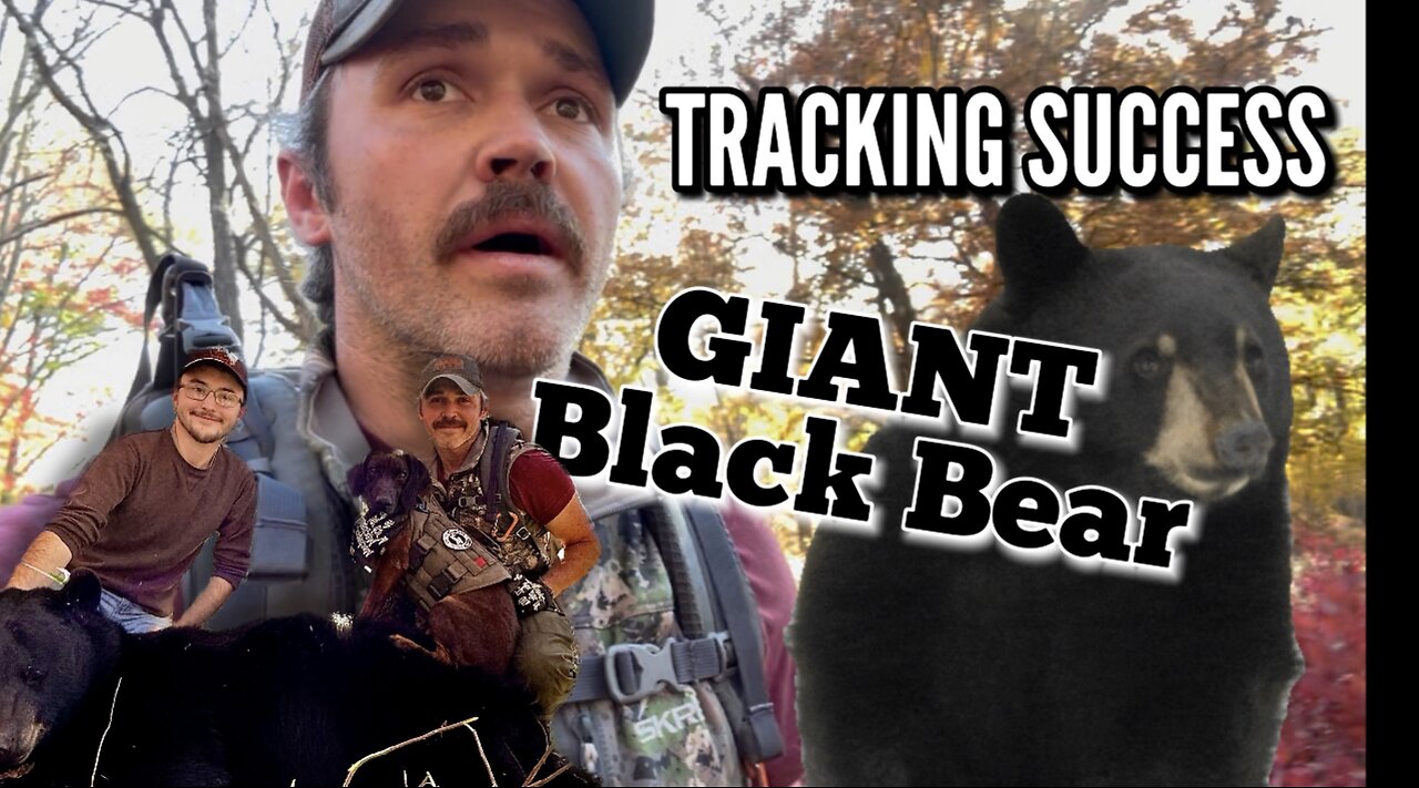 Tracking BIG BLACK BEAR in PA | Appalachian Mountains