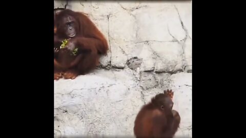 He doesn't like to share! 😂😂