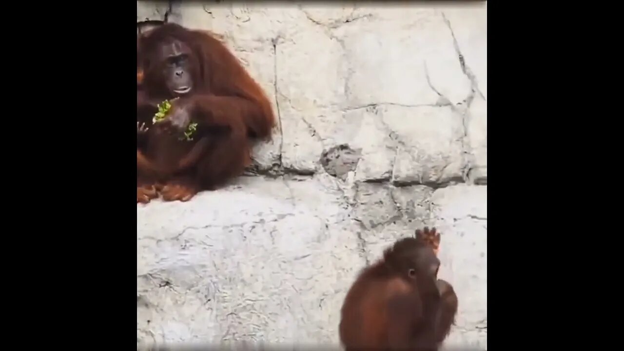 He doesn't like to share! 😂😂