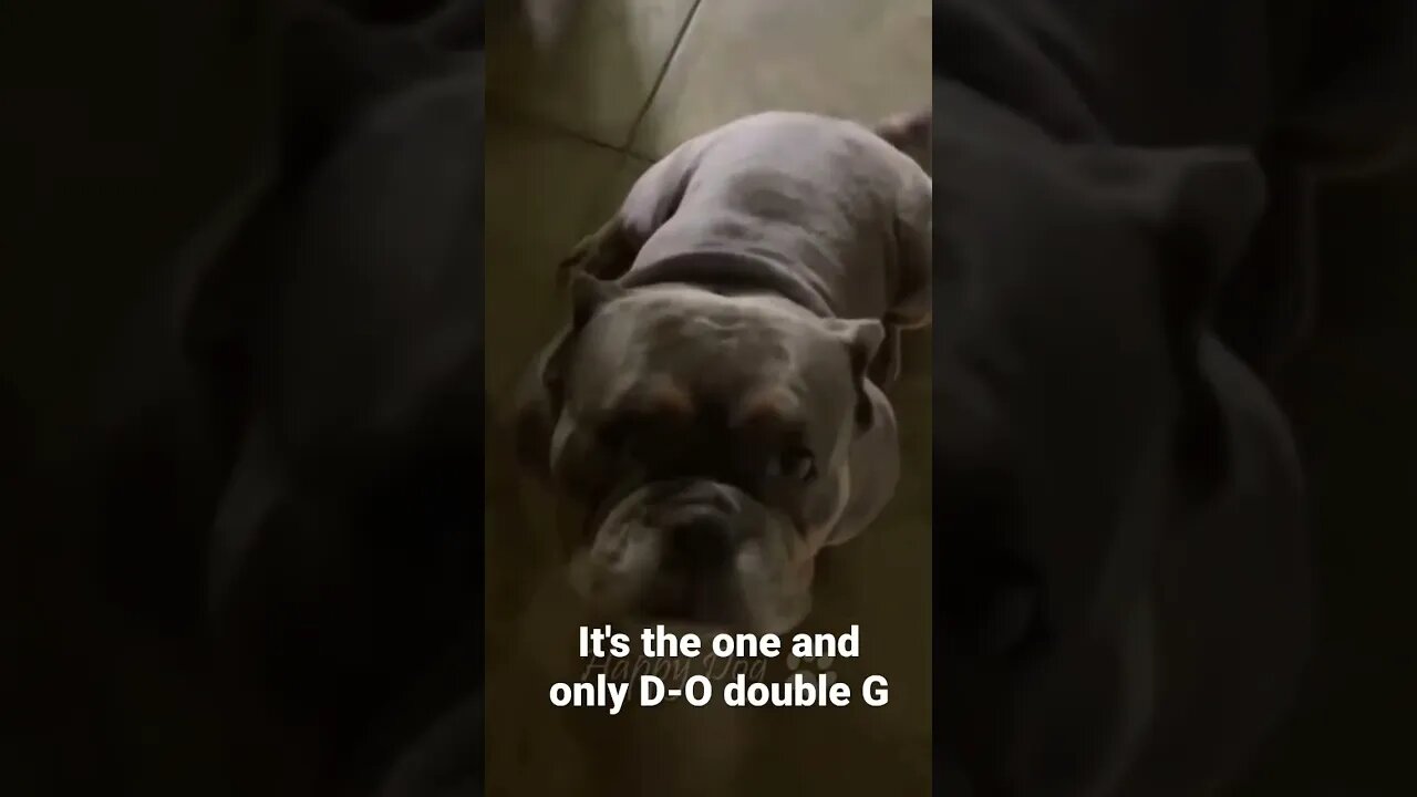 It's the one and only D-O double G #shorts