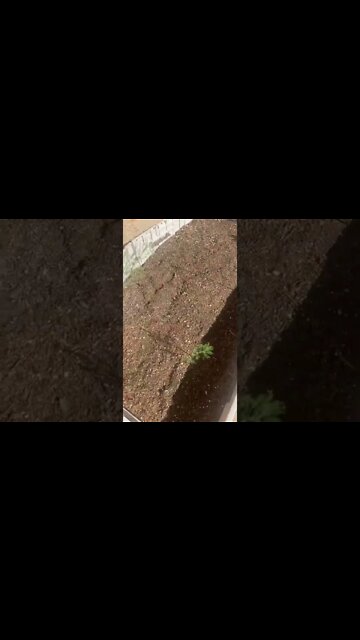 Slow and steady part3