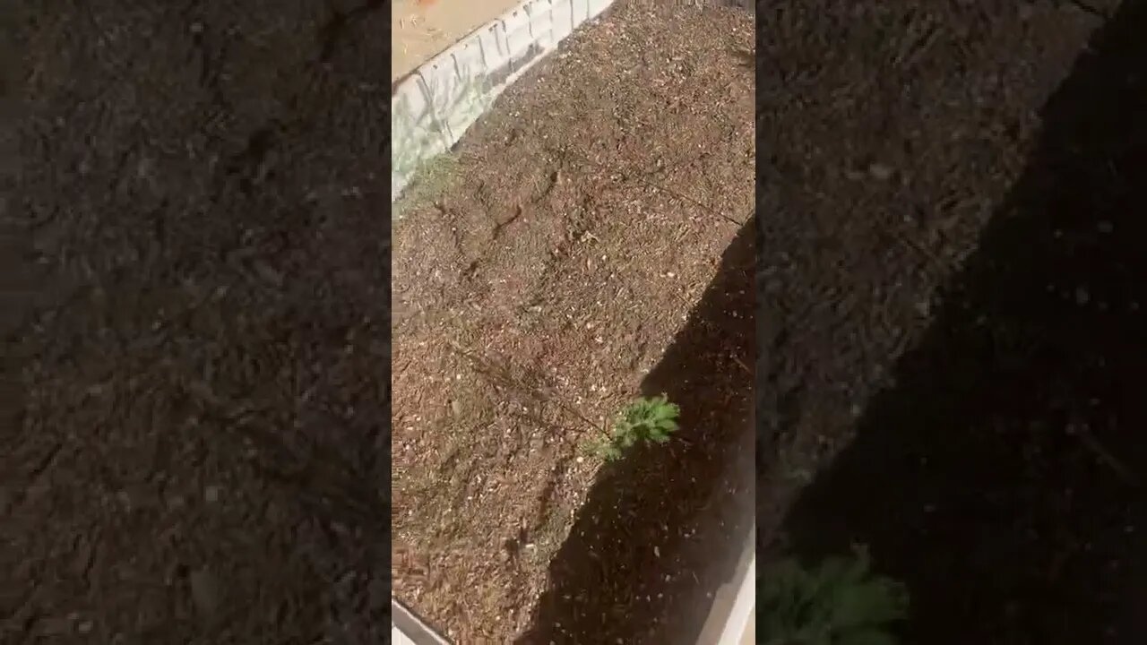 Slow and steady part3