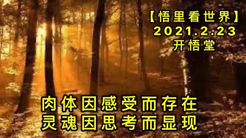 KWT1157肉体因感受而存在，灵魂因思考而显现20210223-9【悟里看世界】