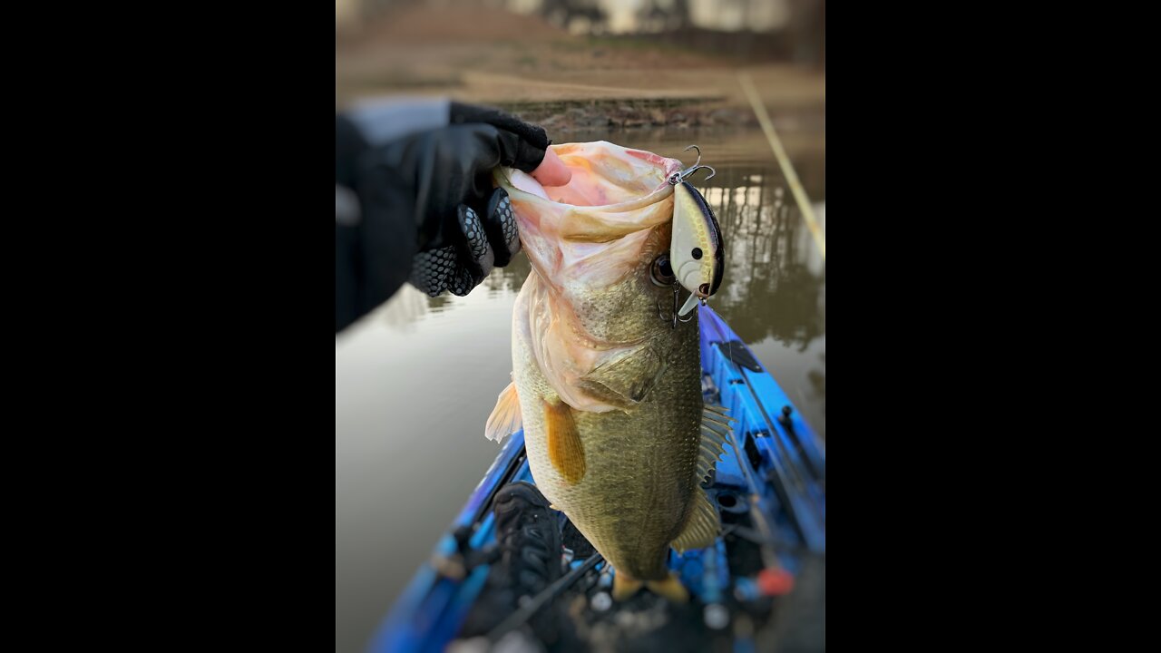 Early Pre-spawn Bass Fishing - Kayak Fishing