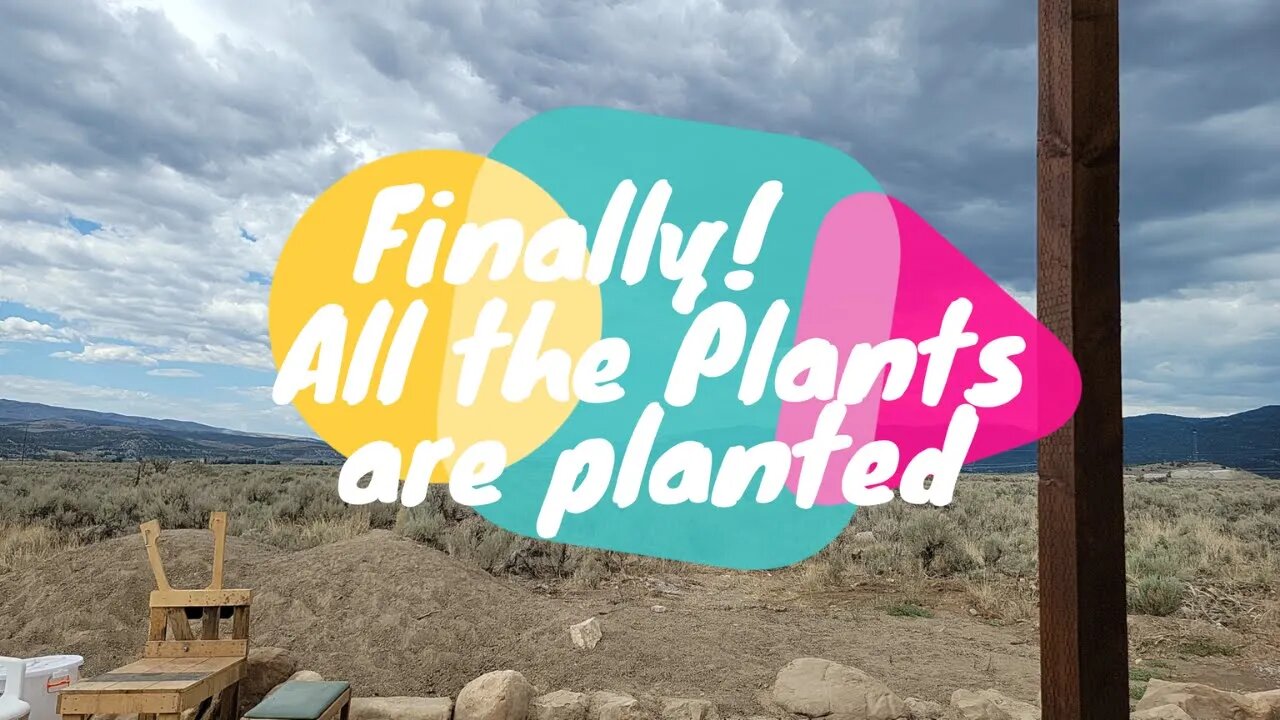 Finally! We have all our plants planted! We are getting closer to kidding!
