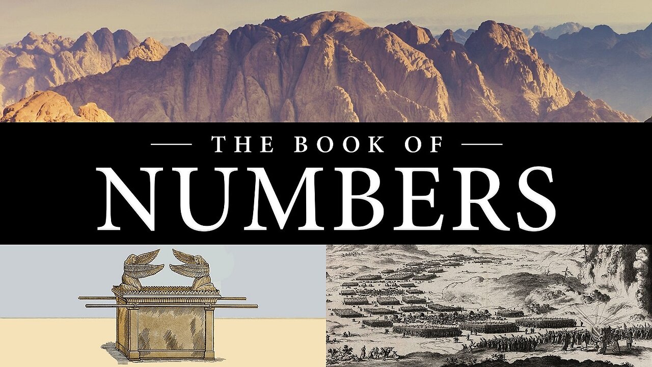 KJV Audio Book With Text 04 Numbers