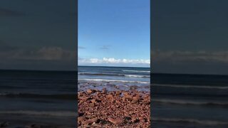 Relaxing on the beach